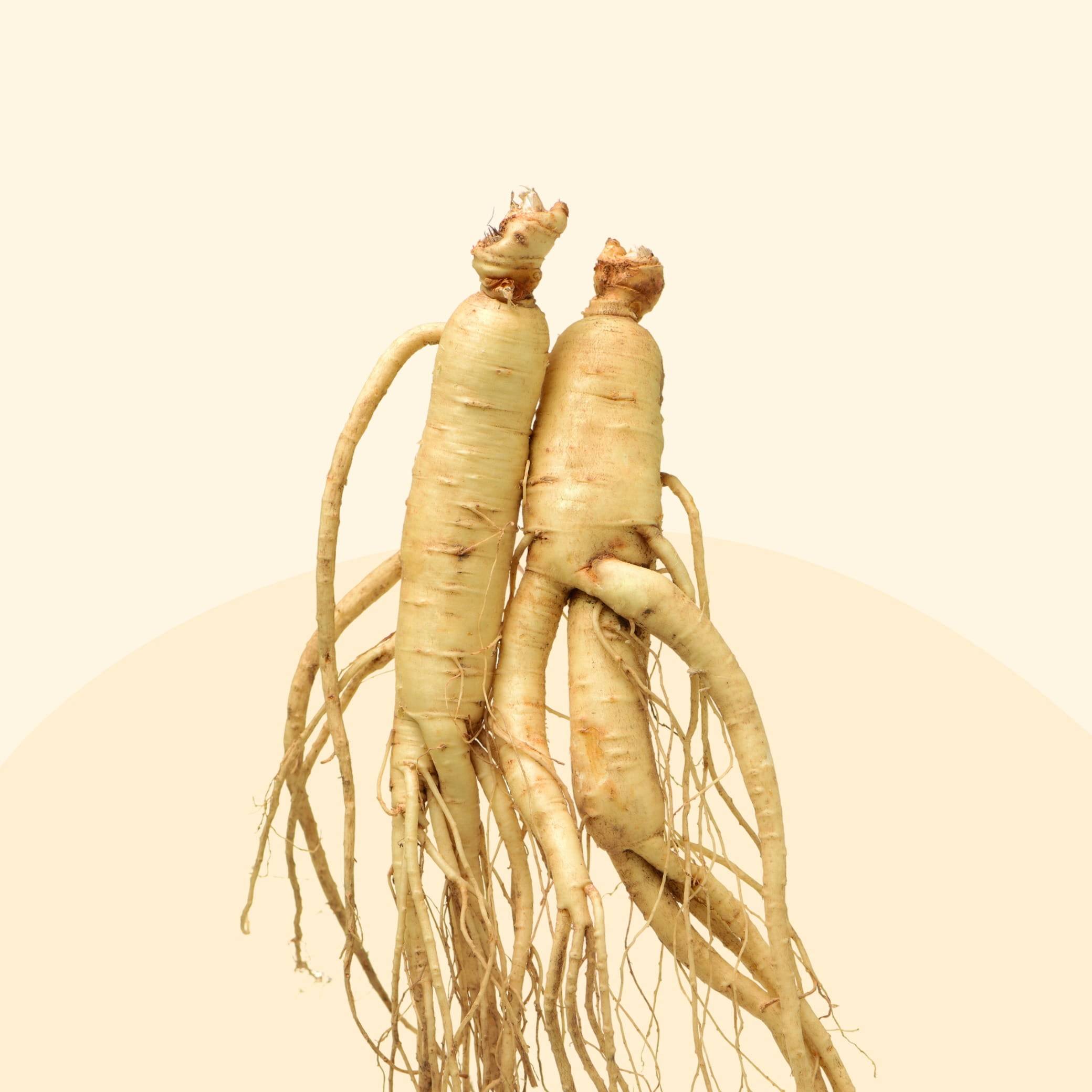 Ginseng